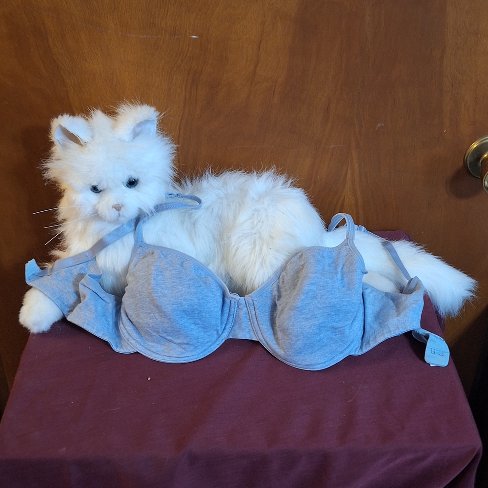 Delicates BLUE Bra